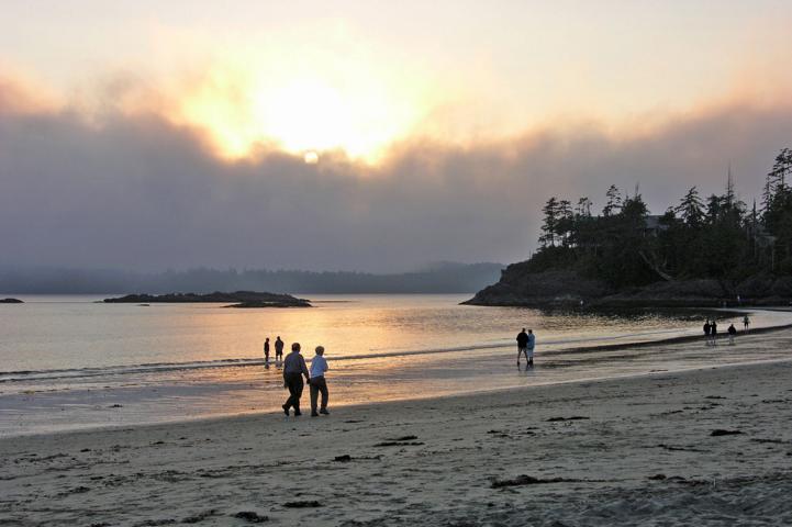 Tofino