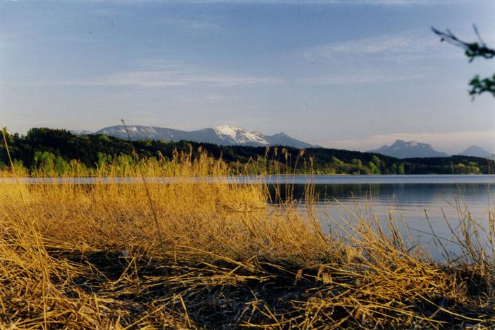 Blick über den Simssee zur Hochries