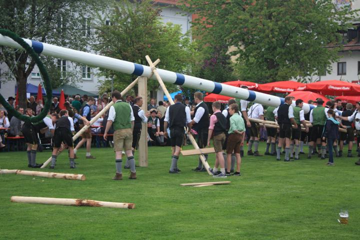 Der Maibaum wird aufgestellt (2018)